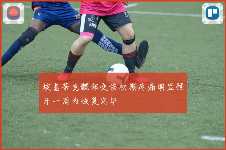 埃基蒂克髋部受伤初期疼痛明显预计一周内恢复完毕
