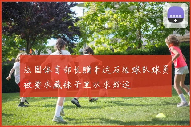 法国体育部长赠幸运石给球队球员被要求藏袜子里以求好运